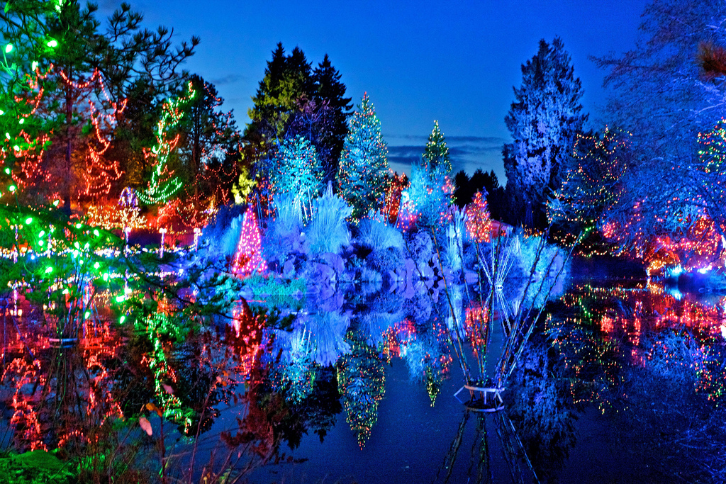 8 of the Best Christmas Light Shows in Canada WHEELS.ca