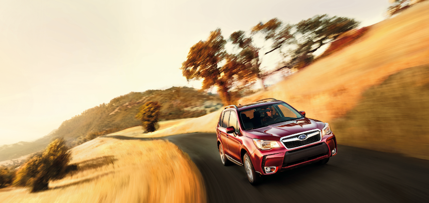 обои на рабочий стол subaru forester в хорошем качестве №636055 обои на рабочий стол subaru forester № 636054 загрузить